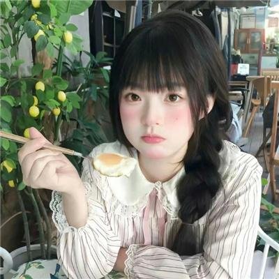 鲨与鲸